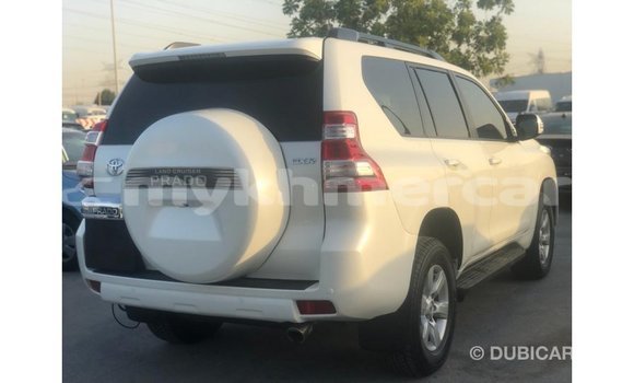 ទិញ នាំចូល Toyota Prado White ឡាន} ក្នុង Import - Dubai ក្នុង Kampot Province ទិញ នាំចូល Toyota Prado White ឡាន} ក្នុង Import - Dubai ក្នុង Kampot Province