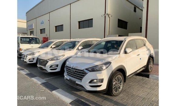 Buy Import Hyundai Tucson White Car in Import - Dubai in Kampot Province Buy Import Hyundai Tucson White Car in Import - Dubai in Kampot Province