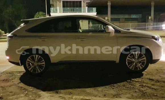 Buy Used Lexus RX White Car in Phnom Penh in Phnom Penh