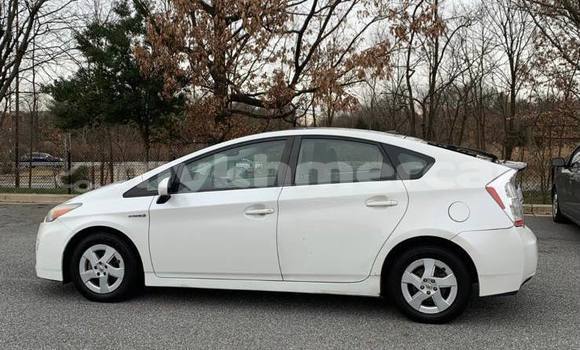 Buy Used Toyota Prius White Car in Amleang in Kampong Speu Province