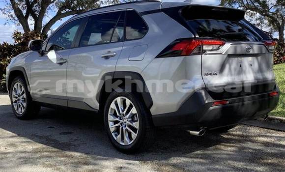 Buy Import Toyota RAV4 Beige Car in Import - Dubai in Kampot Province Buy Import Toyota RAV4 Beige Car in Import - Dubai in Kampot Province