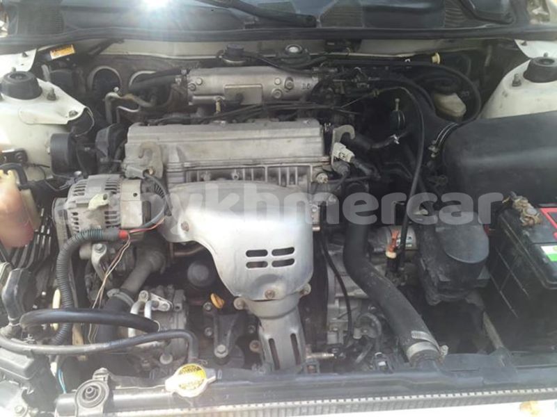 Big with watermark 55698538 960782067451875 6496866397228892160 n