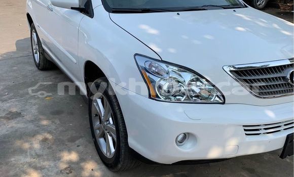 Buy Used Lexus RX White Car in Amleang in Kampong Speu Province Buy Used Lexus RX White Car in Amleang in Kampong Speu Province