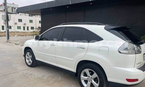 Buy Used Lexus RX White Car in Amleang in Kampong Speu Province Buy Used Lexus RX White Car in Amleang in Kampong Speu Province