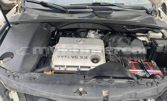 Buy Used Lexus RX White Car in Amleang in Kampong Speu Province Buy Used Lexus RX White Car in Amleang in Kampong Speu Province