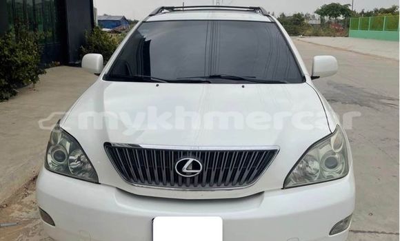 Buy Used Lexus RX 330 White Car in Amleang in Kampong Speu Province Buy Used Lexus RX 330 White Car in Amleang in Kampong Speu Province