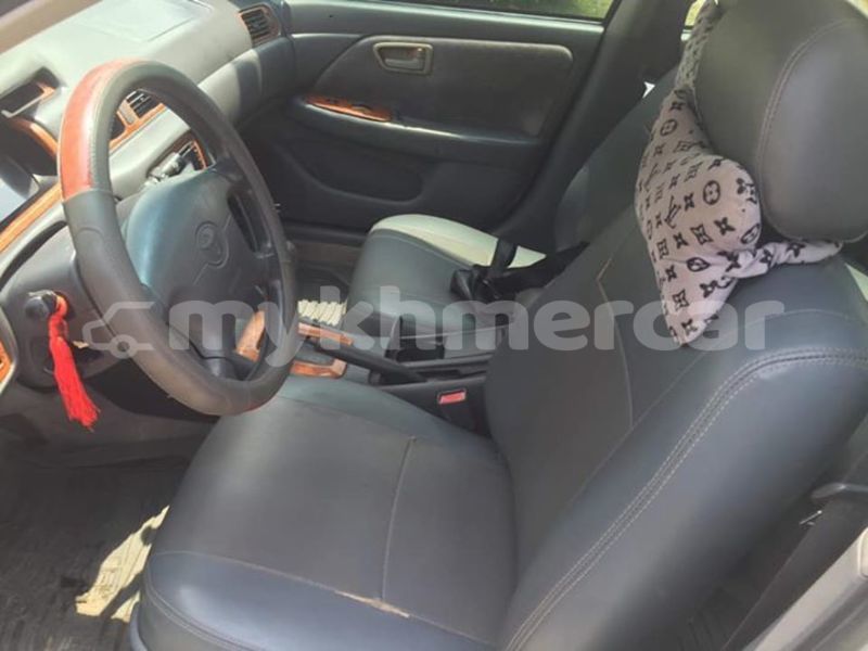 Big with watermark 55517447 960781970785218 1000214045476782080 n