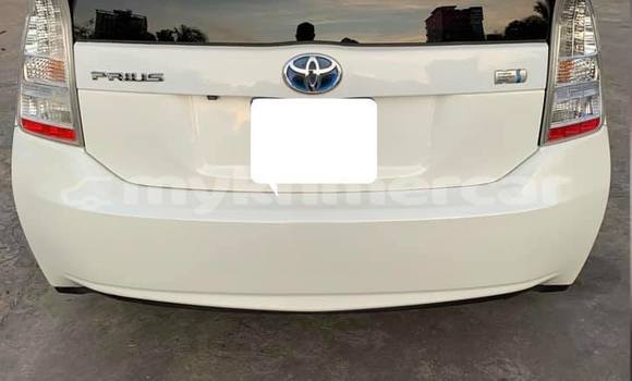 Buy Used Toyota Prius White Car in Amleang in Kampong Speu Province Buy Used Toyota Prius White Car in Amleang in Kampong Speu Province