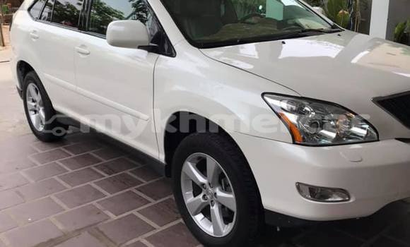 Buy Used Lexus RX 330 White Car in Amleang in Kampong Speu Province Buy Used Lexus RX 330 White Car in Amleang in Kampong Speu Province