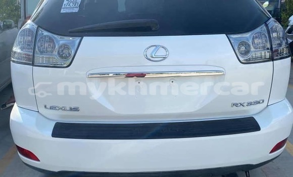 Buy Used Lexus RX 330 White Car in Amleang in Kampong Speu Province Buy Used Lexus RX 330 White Car in Amleang in Kampong Speu Province