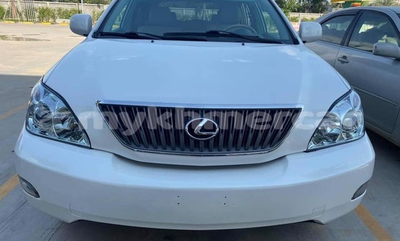 Buy Used Lexus RX 330 White Car in Amleang in Kampong Speu Province Buy Used Lexus RX 330 White Car in Amleang in Kampong Speu Province