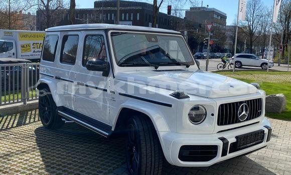 Buy Used Mercedes-Benz G-klasse AMG White Car in Banteay Meanchey in Banteay Meanchey Province