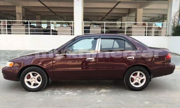 Buy Used Toyota Corolla Red Car in Phnom Penh in Phnom Penh Buy Used Toyota Corolla Red Car in Phnom Penh in Phnom Penh