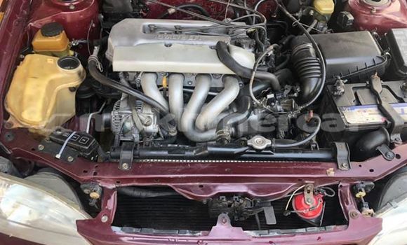 Buy Used Toyota Corolla Red Car in Phnom Penh in Phnom Penh Buy Used Toyota Corolla Red Car in Phnom Penh in Phnom Penh