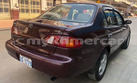 Buy Used Toyota Corolla Red Car in Phnom Penh in Phnom Penh Buy Used Toyota Corolla Red Car in Phnom Penh in Phnom Penh
