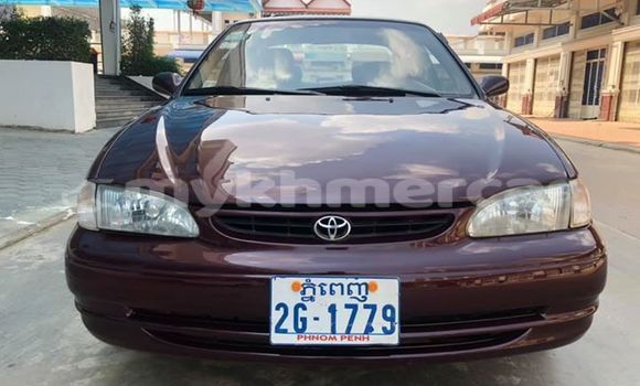 Buy Used Toyota Corolla Red Car in Phnom Penh in Phnom Penh Buy Used Toyota Corolla Red Car in Phnom Penh in Phnom Penh