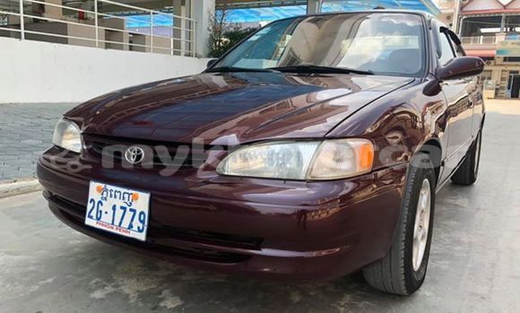 Buy Used Toyota Corolla Red Car in Phnom Penh in Phnom Penh Buy Used Toyota Corolla Red Car in Phnom Penh in Phnom Penh