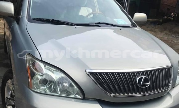 Buy Used Lexus RX 330 Silver Car in Phnom Penh in Phnom Penh