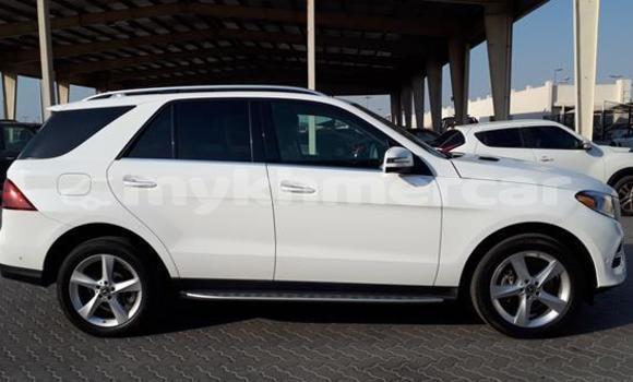 Buy Used Mercedes-Benz GLE White Car in Battambang in Battambang Province Buy Used Mercedes-Benz GLE White Car in Battambang in Battambang Province