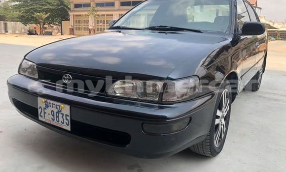 Buy Used Toyota Corolla Black Car in Phnom Penh in Phnom Penh Buy Used Toyota Corolla Black Car in Phnom Penh in Phnom Penh