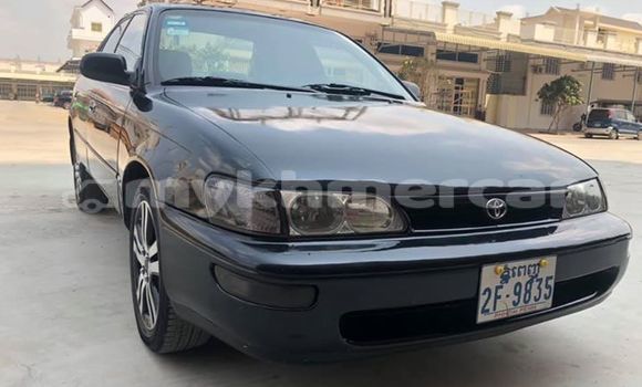 Buy Used Toyota Corolla Black Car in Phnom Penh in Phnom Penh Buy Used Toyota Corolla Black Car in Phnom Penh in Phnom Penh