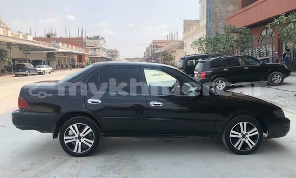 Buy Used Toyota Corolla Black Car in Phnom Penh in Phnom Penh Buy Used Toyota Corolla Black Car in Phnom Penh in Phnom Penh