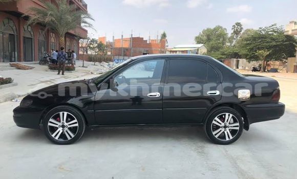 Buy Used Toyota Corolla Black Car in Phnom Penh in Phnom Penh Buy Used Toyota Corolla Black Car in Phnom Penh in Phnom Penh