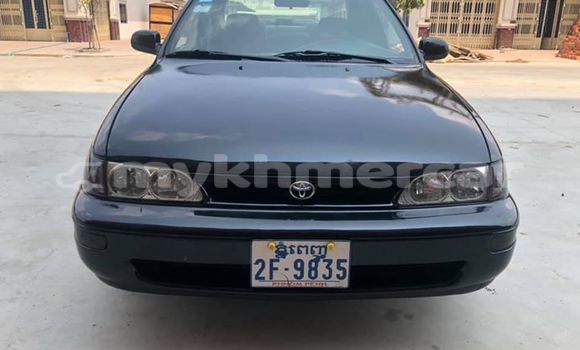 Buy Used Toyota Corolla Black Car in Phnom Penh in Phnom Penh Buy Used Toyota Corolla Black Car in Phnom Penh in Phnom Penh