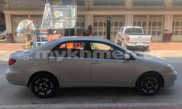 Buy Used Toyota Corolla Silver Car in Phnom Penh in Phnom Penh Buy Used Toyota Corolla Silver Car in Phnom Penh in Phnom Penh