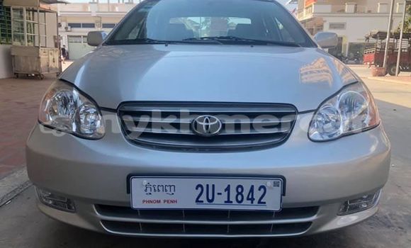 Buy Used Toyota Corolla Silver Car in Phnom Penh in Phnom Penh Buy Used Toyota Corolla Silver Car in Phnom Penh in Phnom Penh