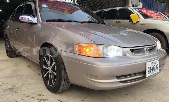 Buy Used Toyota Corolla Brown Car in Phnom Penh in Phnom Penh Buy Used Toyota Corolla Brown Car in Phnom Penh in Phnom Penh