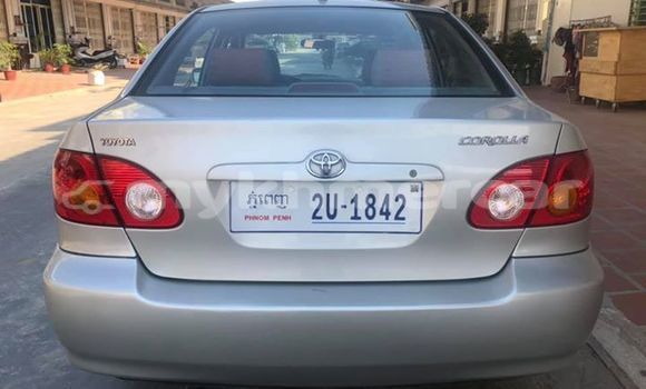 Buy Used Toyota Corolla Silver Car in Phnom Penh in Phnom Penh Buy Used Toyota Corolla Silver Car in Phnom Penh in Phnom Penh