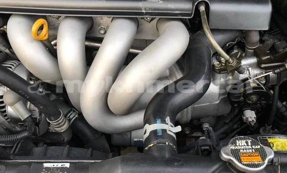 Buy Used Toyota Corolla Brown Car in Phnom Penh in Phnom Penh Buy Used Toyota Corolla Brown Car in Phnom Penh in Phnom Penh