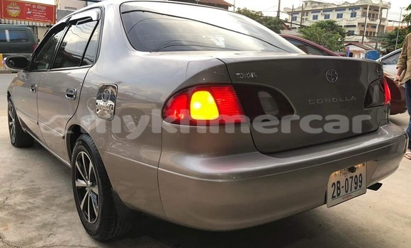 Buy Used Toyota Corolla Brown Car in Phnom Penh in Phnom Penh Buy Used Toyota Corolla Brown Car in Phnom Penh in Phnom Penh