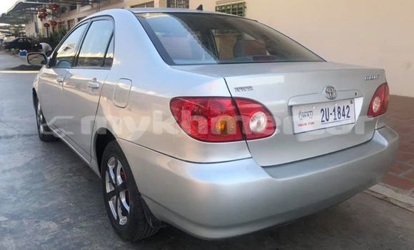 Buy Used Toyota Corolla Silver Car in Phnom Penh in Phnom Penh Buy Used Toyota Corolla Silver Car in Phnom Penh in Phnom Penh