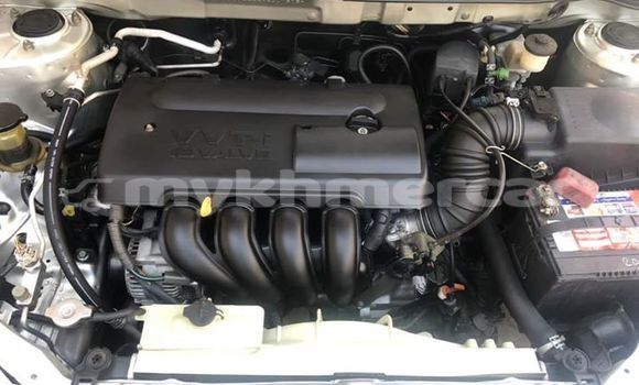 Buy Used Toyota Corolla Silver Car in Phnom Penh in Phnom Penh Buy Used Toyota Corolla Silver Car in Phnom Penh in Phnom Penh