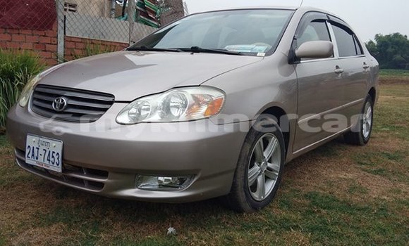 Acheter Occasion Voiture Toyota Corolla Beige à Siem Reap, Siem Reap Province Acheter Occasion Voiture Toyota Corolla Beige à Siem Reap, Siem Reap Province