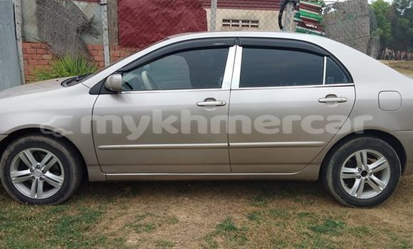 Acheter Occasion Voiture Toyota Corolla Beige à Siem Reap, Siem Reap Province Acheter Occasion Voiture Toyota Corolla Beige à Siem Reap, Siem Reap Province