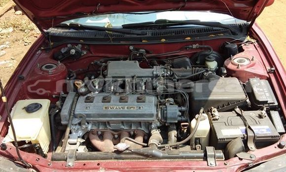 Acheter Occasion Voiture Toyota Corolla Rouge à Siem Reap, Siem Reap Province Acheter Occasion Voiture Toyota Corolla Rouge à Siem Reap, Siem Reap Province