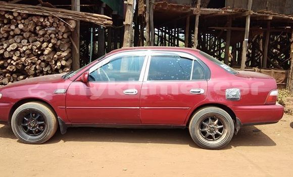 Acheter Occasion Voiture Toyota Corolla Rouge à Siem Reap, Siem Reap Province Acheter Occasion Voiture Toyota Corolla Rouge à Siem Reap, Siem Reap Province