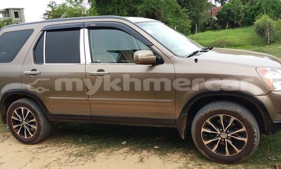 Buy Used Honda CR–V Brown Car in Siem Reap in Siem Reap Province