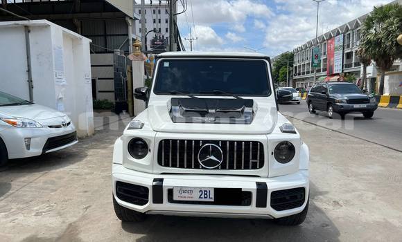 Buy Used Mercedes-Benz G-klasse White Car in Phnom Penh in Phnom Penh Buy Used Mercedes-Benz G-klasse White Car in Phnom Penh in Phnom Penh