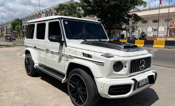 Buy Used Mercedes-Benz G-klasse White Car in Phnom Penh in Phnom Penh Buy Used Mercedes-Benz G-klasse White Car in Phnom Penh in Phnom Penh