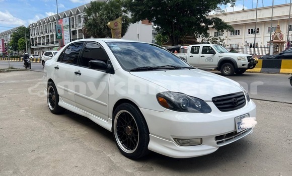 Buy Used Toyota Corolla White Car in Phnom Penh in Phnom Penh Buy Used Toyota Corolla White Car in Phnom Penh in Phnom Penh