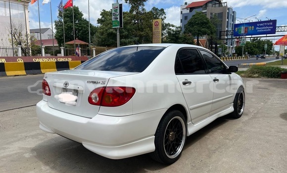 Buy Used Toyota Corolla White Car in Phnom Penh in Phnom Penh Buy Used Toyota Corolla White Car in Phnom Penh in Phnom Penh