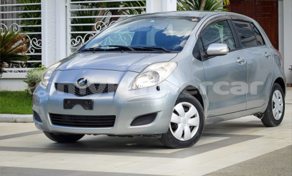 Buy Used Toyota Vitz Silver Car in Phnom Penh in Phnom Penh