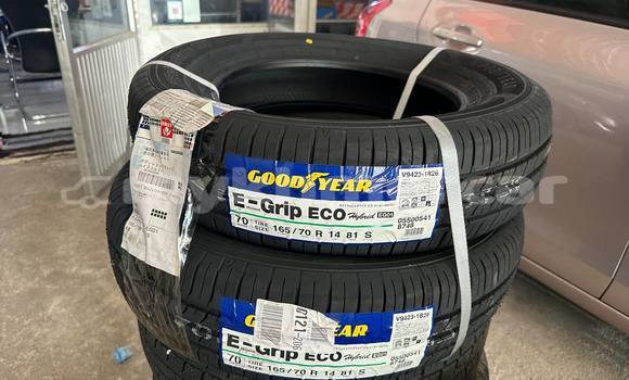 Buy แแแแแแแโแแแแปแ R14 1แแผ125$ in Phnom Penh in Phnom Penh Buy แแแแแแแโแแแแปแ R14 1แแผ125$ in Phnom Penh in Phnom Penh