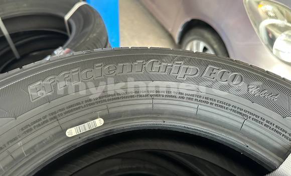 Buy แแแแแแแโแแแแปแ R14 1แแผ125$ in Phnom Penh in Phnom Penh Buy แแแแแแแโแแแแปแ R14 1แแผ125$ in Phnom Penh in Phnom Penh