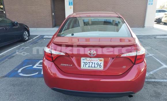 Buy Used Toyota Corolla Red Car in Phnom Penh in Phnom Penh Buy Used Toyota Corolla Red Car in Phnom Penh in Phnom Penh