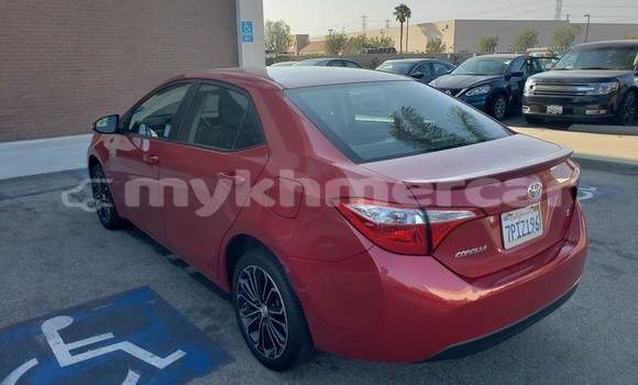 Buy Used Toyota Corolla Red Car in Phnom Penh in Phnom Penh Buy Used Toyota Corolla Red Car in Phnom Penh in Phnom Penh